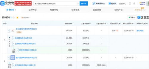 愷英網絡嘉興布局 投資成立網絡科技公司，拓展信息技術咨詢服務新賽道